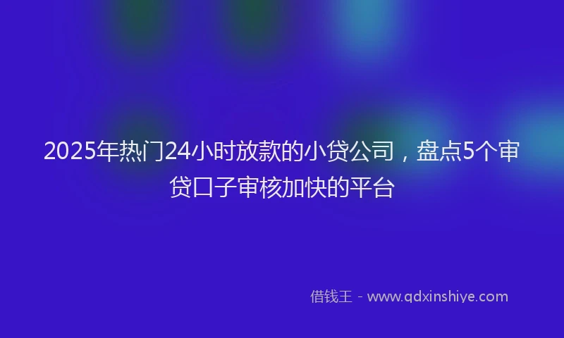 2025年热门24小时放款的小贷公司，盘点5个审贷口子审核加快的平台
