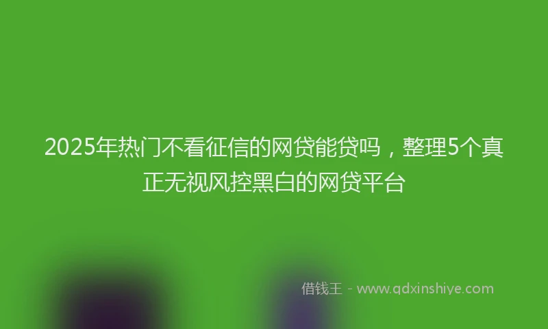 2025年热门不看征信的网贷能贷吗，整理5个真正无视风控黑白的网贷平台