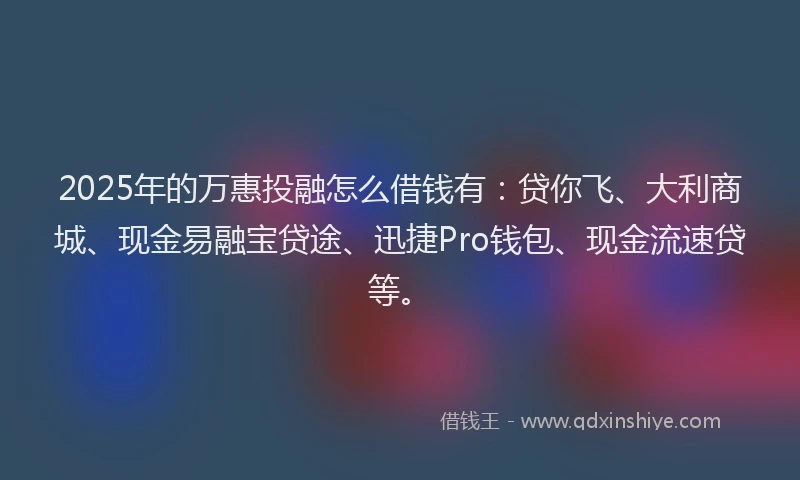 2025年的万惠投融怎么借钱有：贷你飞、大利商城、现金易融宝贷途、迅捷Pro钱包、现金流速贷等。