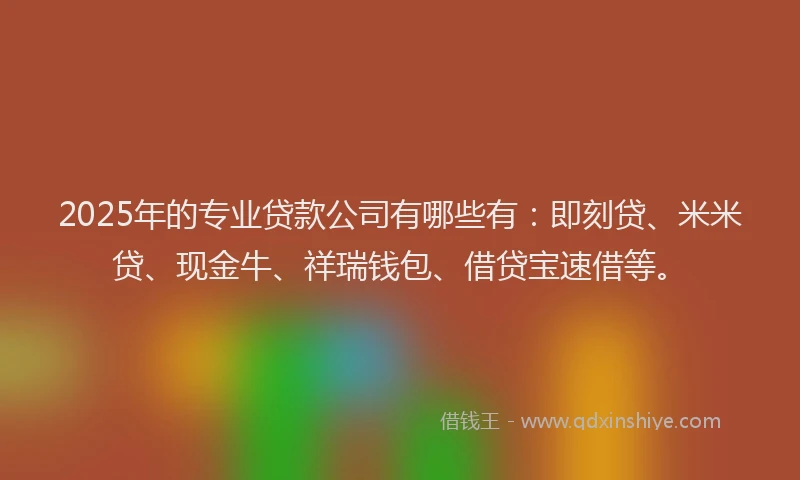 2025年的专业贷款公司有哪些有：即刻贷、米米贷、现金牛、祥瑞钱包、借贷宝速借等。