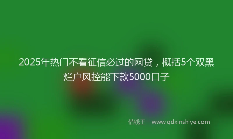2025年热门不看征信必过的网贷，概括5个双黑烂户风控能下款5000口子