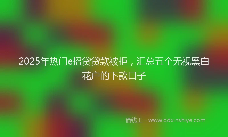 2025年热门e招贷贷款被拒，汇总五个无视黑白花户的下款口子