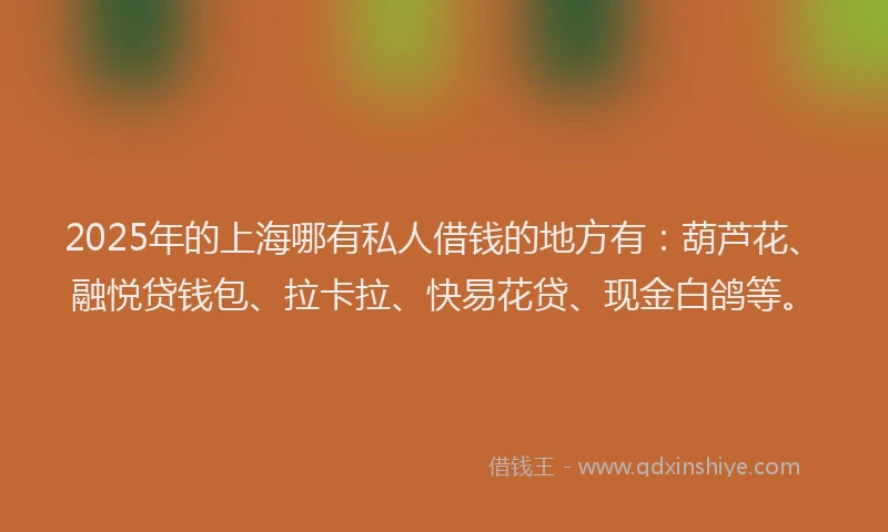2025年的上海哪有私人借钱的地方有：葫芦花、融悦贷钱包、拉卡拉、快易花贷、现金白鸽等。