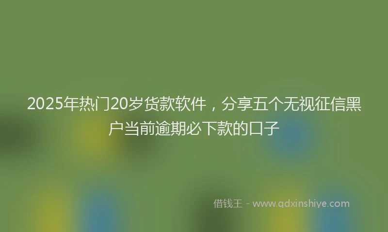 2025年热门20岁货款软件，分享五个无视征信黑户当前逾期必下款的口子