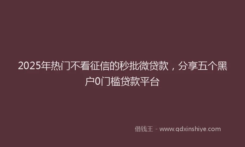 2025年热门不看征信的秒批微贷款，分享五个黑户0门槛贷款平台