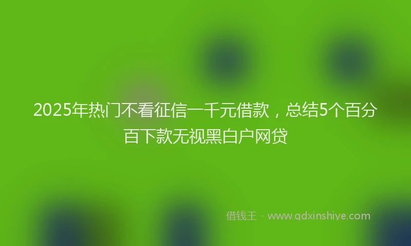 2025年热门不看征信一千元借款，总结5个百分百下款无视黑白户网贷