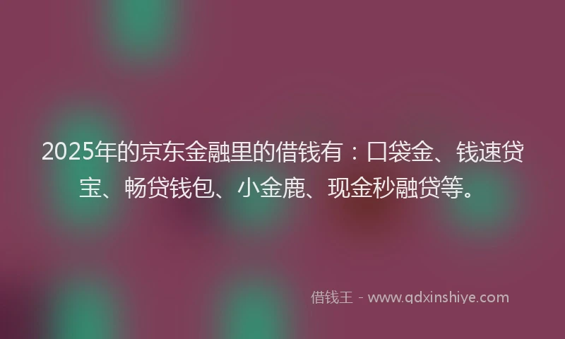 2025年的京东金融里的借钱有：口袋金、钱速贷宝、畅贷钱包、小金鹿、现金秒融贷等。