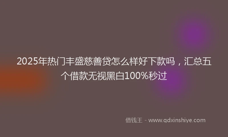 2025年热门丰盛慈善贷怎么样好下款吗，汇总五个借款无视黑白100%秒过