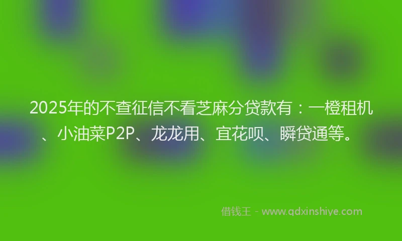2025年的不查征信不看芝麻分贷款有：一橙租机、小油菜P2P、龙龙用、宜花呗、瞬贷通等。