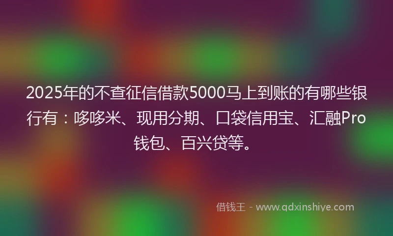2025年的不查征信借款5000马上到账的有哪些银行有：哆哆米、现用分期、口袋信用宝、汇融Pro钱包、百兴贷等。