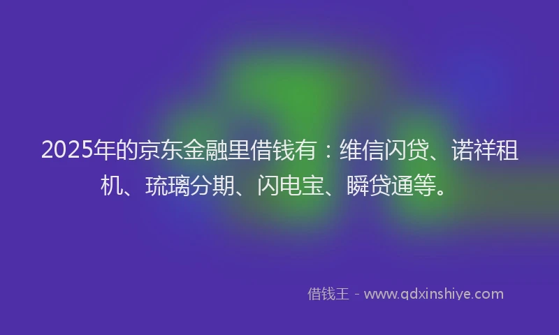 2025年的京东金融里借钱有：维信闪贷、诺祥租机、琉璃分期、闪电宝、瞬贷通等。