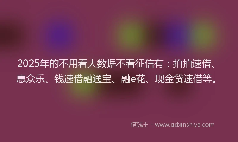 2025年的不用看大数据不看征信有：拍拍速借、惠众乐、钱速借融通宝、融e花、现金贷速借等。