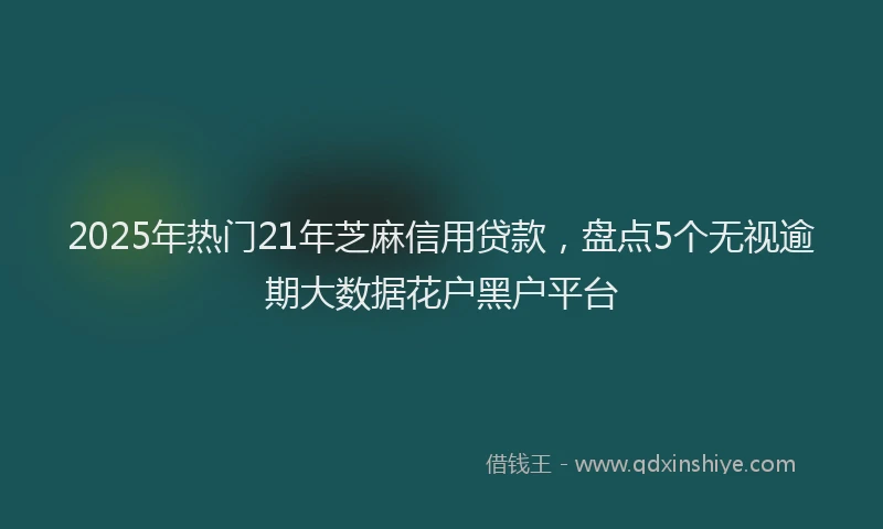 2025年热门21年芝麻信用贷款，盘点5个无视逾期大数据花户黑户平台