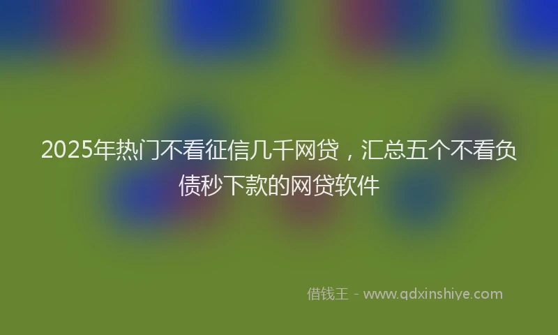 2025年热门不看征信几千网贷，汇总五个不看负债秒下款的网贷软件