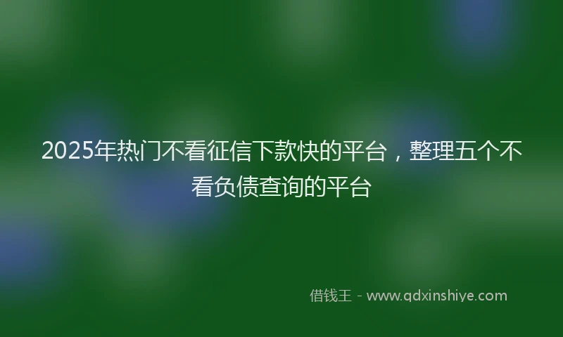 2025年热门不看征信下款快的平台，整理五个不看负债查询的平台
