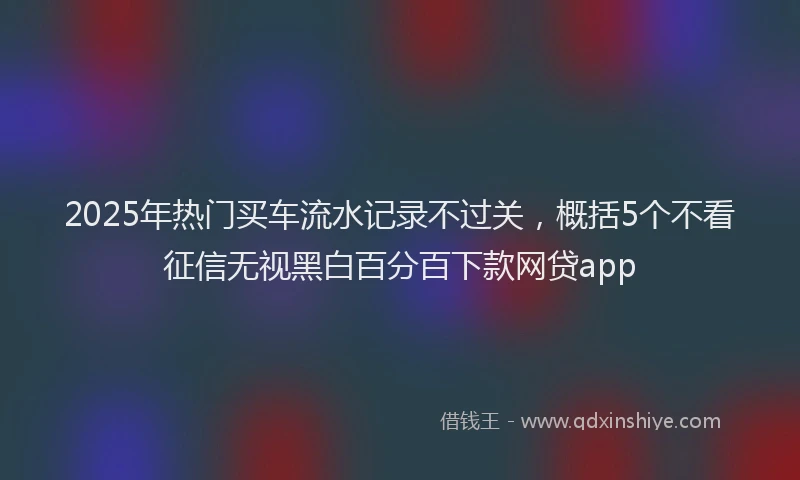 2025年热门买车流水记录不过关，概括5个不看征信无视黑白百分百下款网贷app