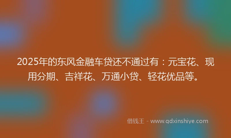2025年的东风金融车贷还不通过有：元宝花、现用分期、吉祥花、万通小贷、轻花优品等。