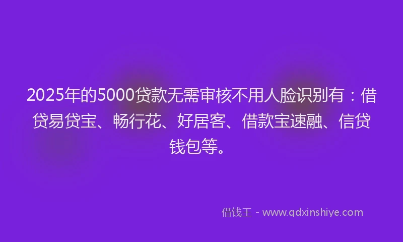 2025年的5000贷款无需审核不用人脸识别有：借贷易贷宝、畅行花、好居客、借款宝速融、信贷钱包等。