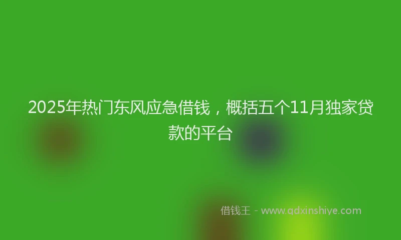 2025年热门东风应急借钱，概括五个11月独家贷款的平台