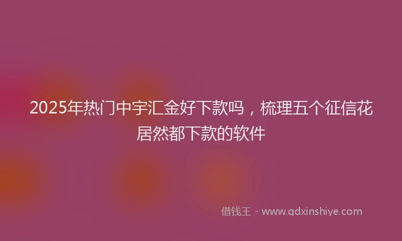 2025年热门中宇汇金好下款吗，梳理五个征信花居然都下款的软件