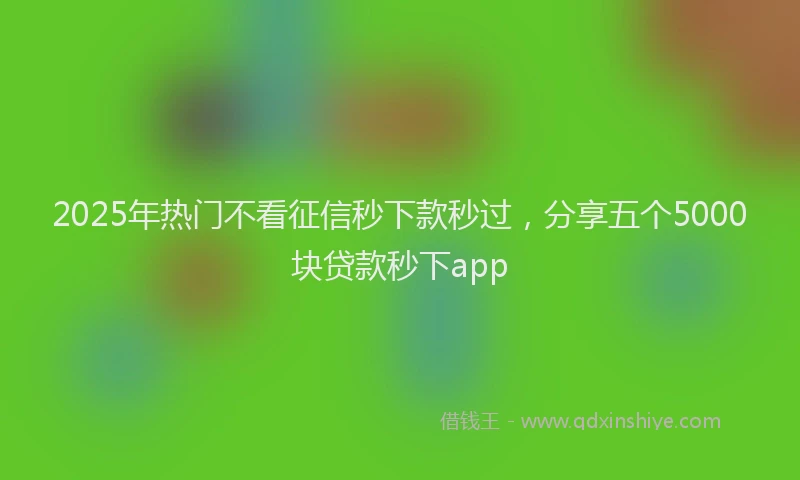 2025年热门不看征信秒下款秒过，分享五个5000块贷款秒下app