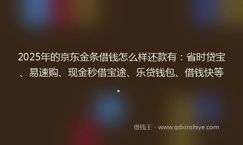 2025年的京东金条借钱怎么样还款有：省时贷宝、易速购、现金秒借宝途、乐贷钱包、借钱快等。