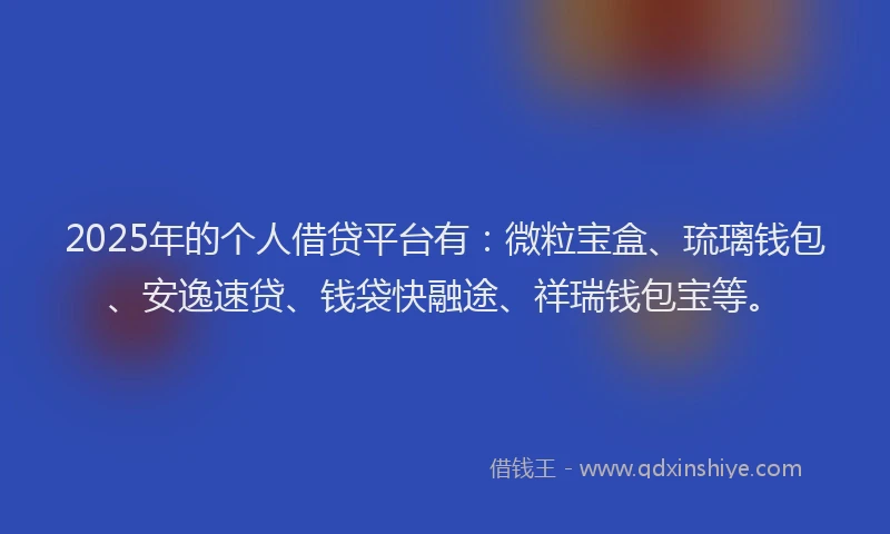 2025年的个人借贷平台有：微粒宝盒、琉璃钱包、安逸速贷、钱袋快融途、祥瑞钱包宝等。