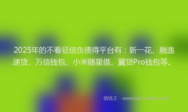2025年的不看征信负债得平台有：新一花、融逸速贷、万信钱包、小米随星借、翼贷Pro钱包等。