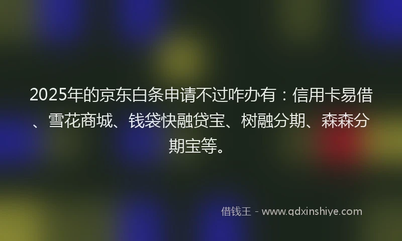 2025年的京东白条申请不过咋办有：信用卡易借、雪花商城、钱袋快融贷宝、树融分期、森森分期宝等。