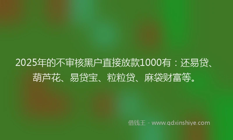 2025年的不审核黑户直接放款1000有：还易贷、葫芦花、易贷宝、粒粒贷、麻袋财富等。