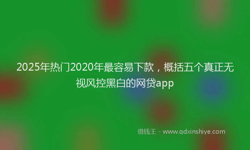 2025年热门2020年最容易下款，概括五个真正无视风控黑白的网贷app