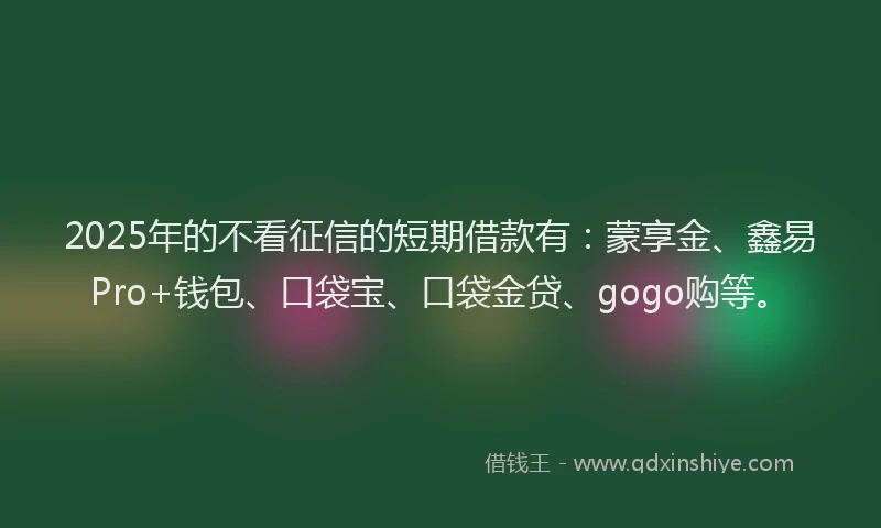 2025年的不看征信的短期借款有：蒙享金、鑫易Pro+钱包、口袋宝、口袋金贷、gogo购等。