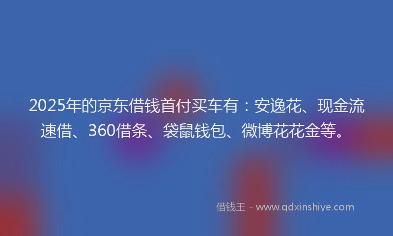 2025年的京东借钱首付买车有：安逸花、现金流速借、360借条、袋鼠钱包、微博花花金等。