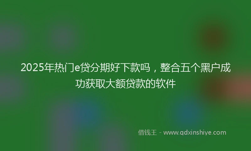 2025年热门e贷分期好下款吗，整合五个黑户成功获取大额贷款的软件