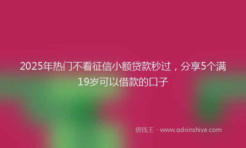 2025年热门不看征信小额贷款秒过，分享5个满19岁可以借款的口子