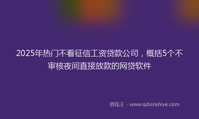 2025年热门不看征信工资贷款公司，概括5个不审核夜间直接放款的网贷软件