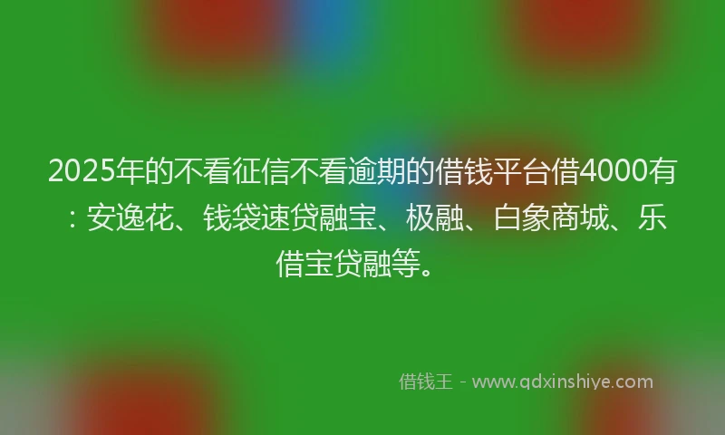 2025年的不看征信不看逾期的借钱平台借4000有：安逸花、钱袋速贷融宝、极融、白象商城、乐借宝贷融等。