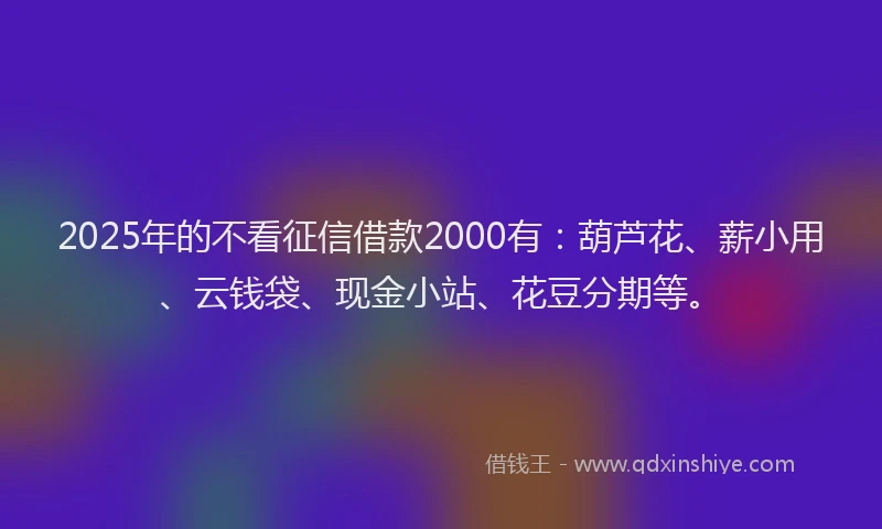 2025年的不看征信借款2000有：葫芦花、薪小用、云钱袋、现金小站、花豆分期等。