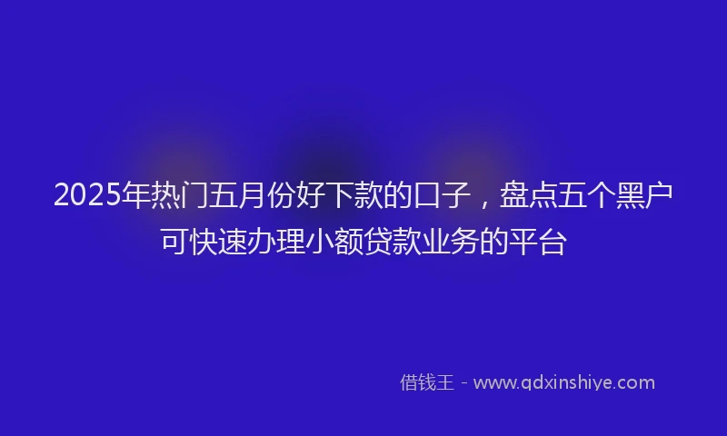 2025年热门五月份好下款的口子，盘点五个黑户可快速办理小额贷款业务的平台
