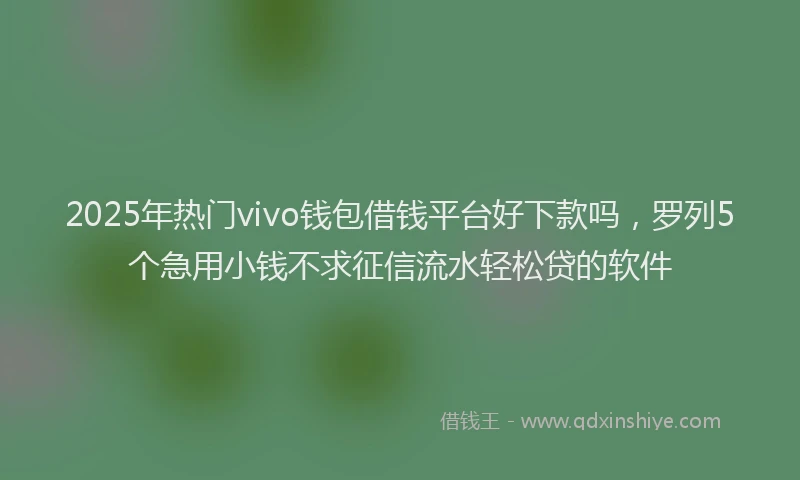 2025年热门vivo钱包借钱平台好下款吗，罗列5个急用小钱不求征信流水轻松贷的软件