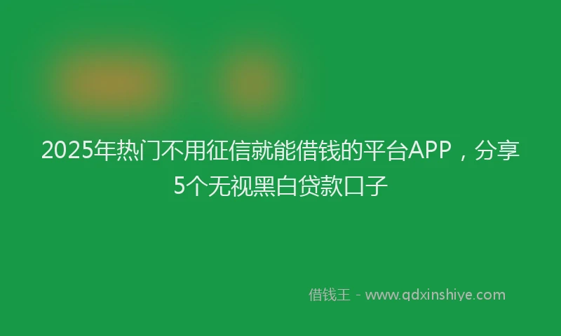 2025年热门不用征信就能借钱的平台APP，分享5个无视黑白贷款口子