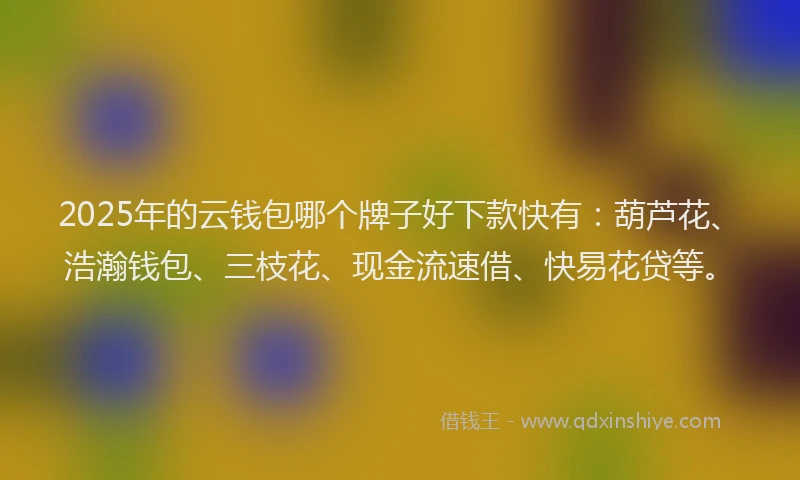 2025年的云钱包哪个牌子好下款快有：葫芦花、浩瀚钱包、三枝花、现金流速借、快易花贷等。