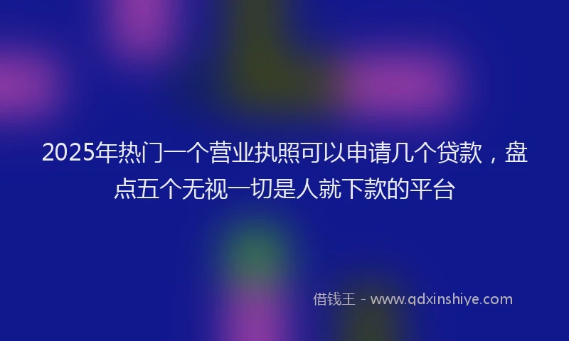 2025年热门一个营业执照可以申请几个贷款，盘点五个无视一切是人就下款的平台