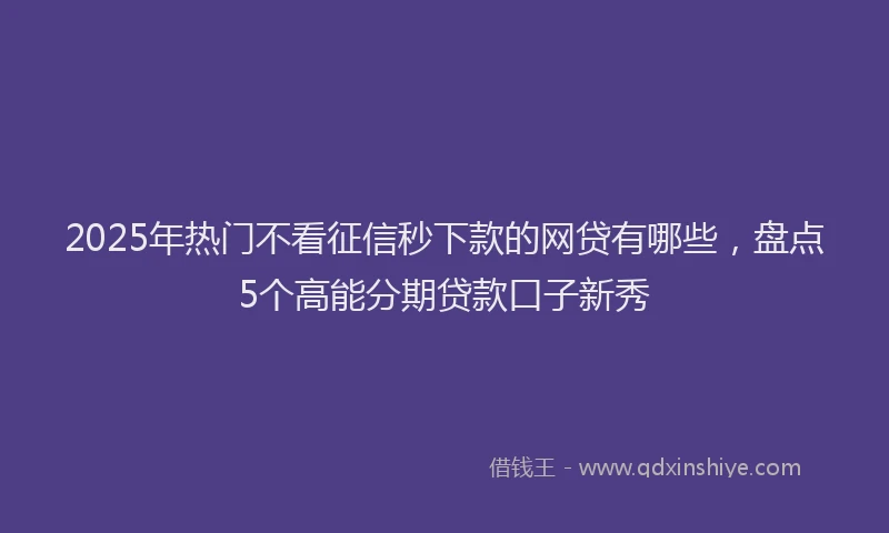 2025年热门不看征信秒下款的网贷有哪些，盘点5个高能分期贷款口子新秀