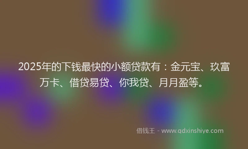 2025年的下钱最快的小额贷款有：金元宝、玖富万卡、借贷易贷、你我贷、月月盈等。