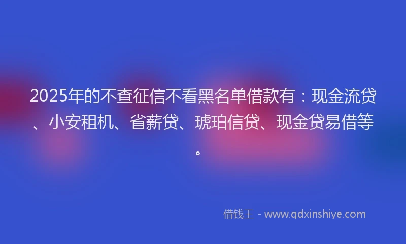 2025年的不查征信不看黑名单借款有：现金流贷、小安租机、省薪贷、琥珀信贷、现金贷易借等。