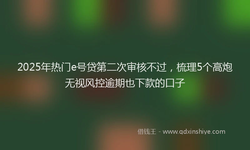 2025年热门e号贷第二次审核不过，梳理5个高炮无视风控逾期也下款的口子