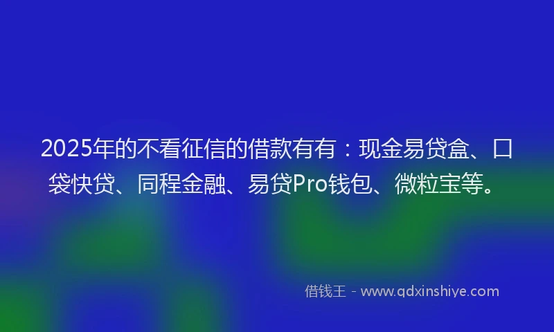 2025年的不看征信的借款有有：现金易贷盒、口袋快贷、同程金融、易贷Pro钱包、微粒宝等。