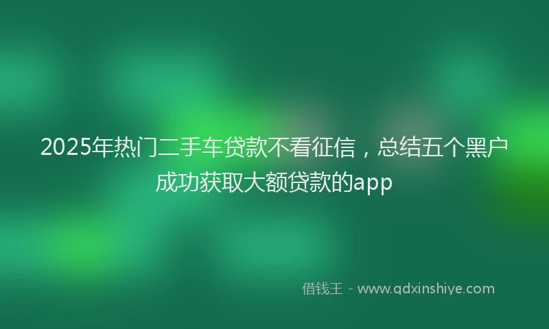 2025年热门二手车贷款不看征信，总结五个黑户成功获取大额贷款的app