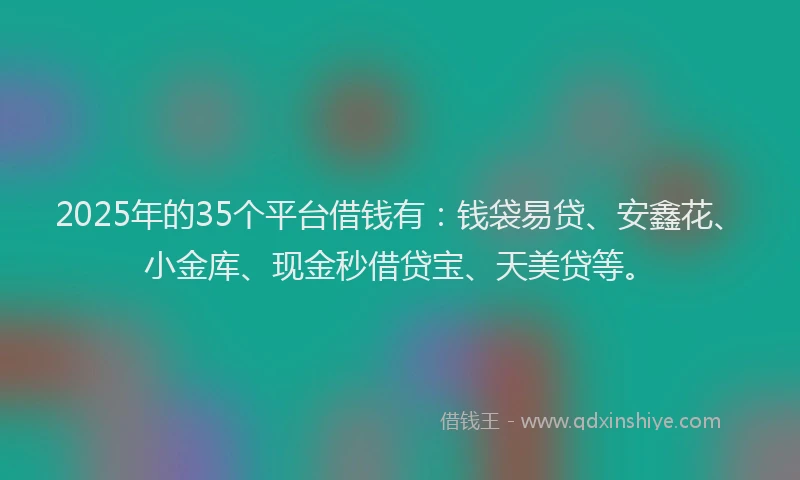 2025年的35个平台借钱有：钱袋易贷、安鑫花、小金库、现金秒借贷宝、天美贷等。